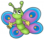 cartoon butterfly