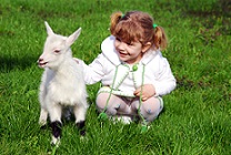girl and baby goat