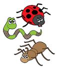 group of bug