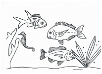 ocean scene coloring page